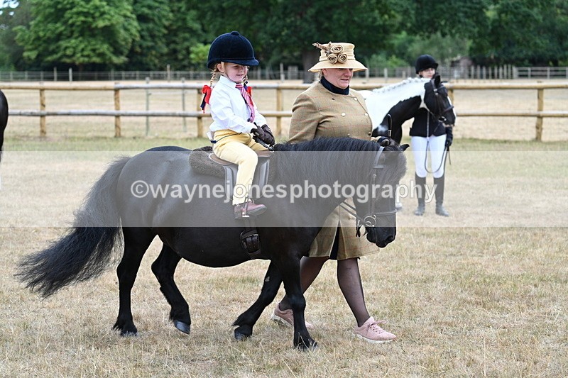 WJ7_8463 - Class 4 Prettiest Mare up to 14.2hh