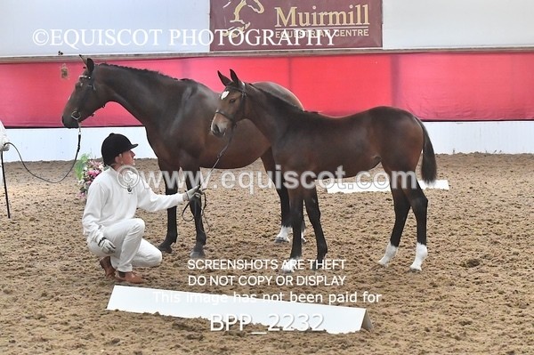 BPP_2232 - AFTERNOON 12.30 - 3.30PM