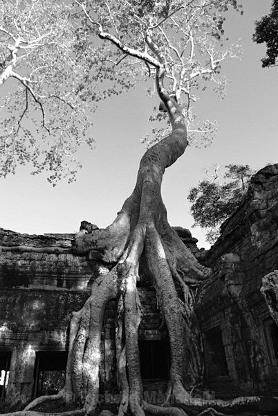  - Cambodia