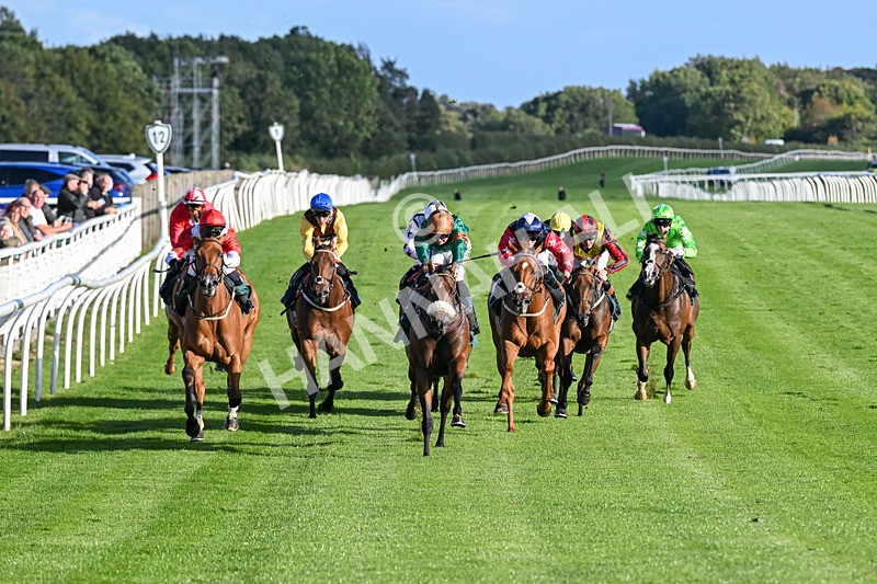 080926-Race 7-Military Girl-3298 - Race 7 5.21pm RMG Proudly Supports Teenage Cancer Trust Handicap