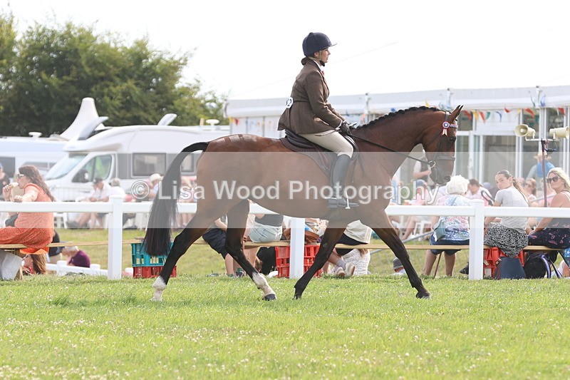 JPP_4228 - Class 25: Working Show Horse