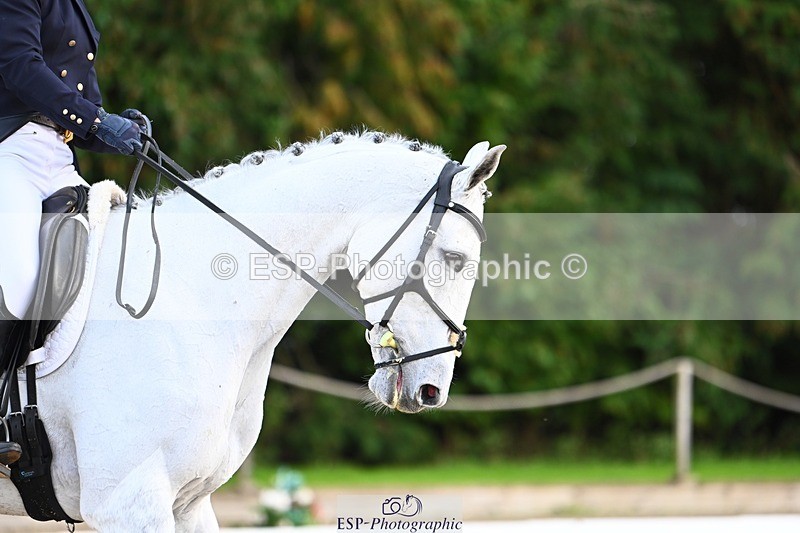 231021-160030-20993 - 262-GOOD.BOY.ALEX-Tara.Jefferies-DR