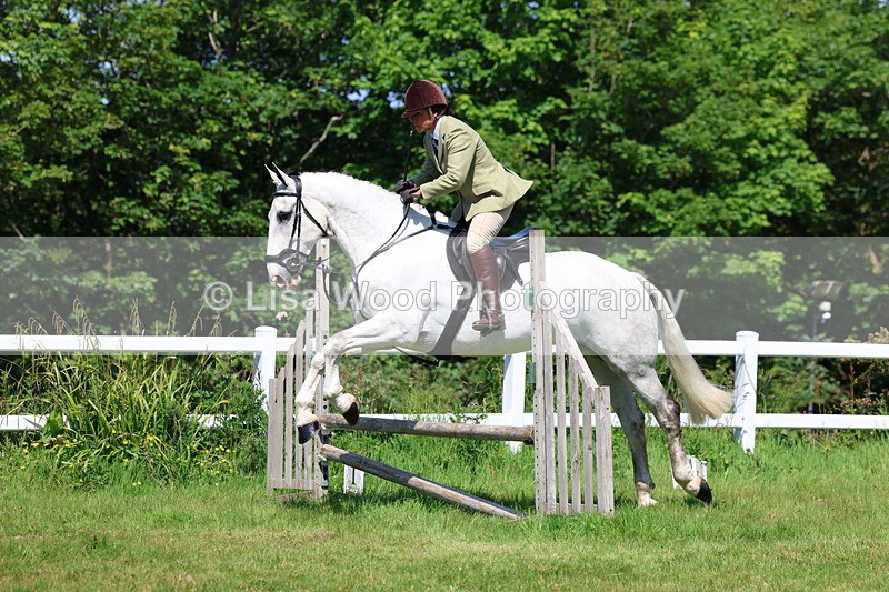 3E7A6897 - Class 30: Novice Working Hunter