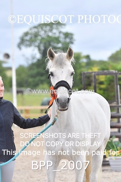 BPP_2007 - SAT CLASS 10 Senior British Novice/ 90cm Open