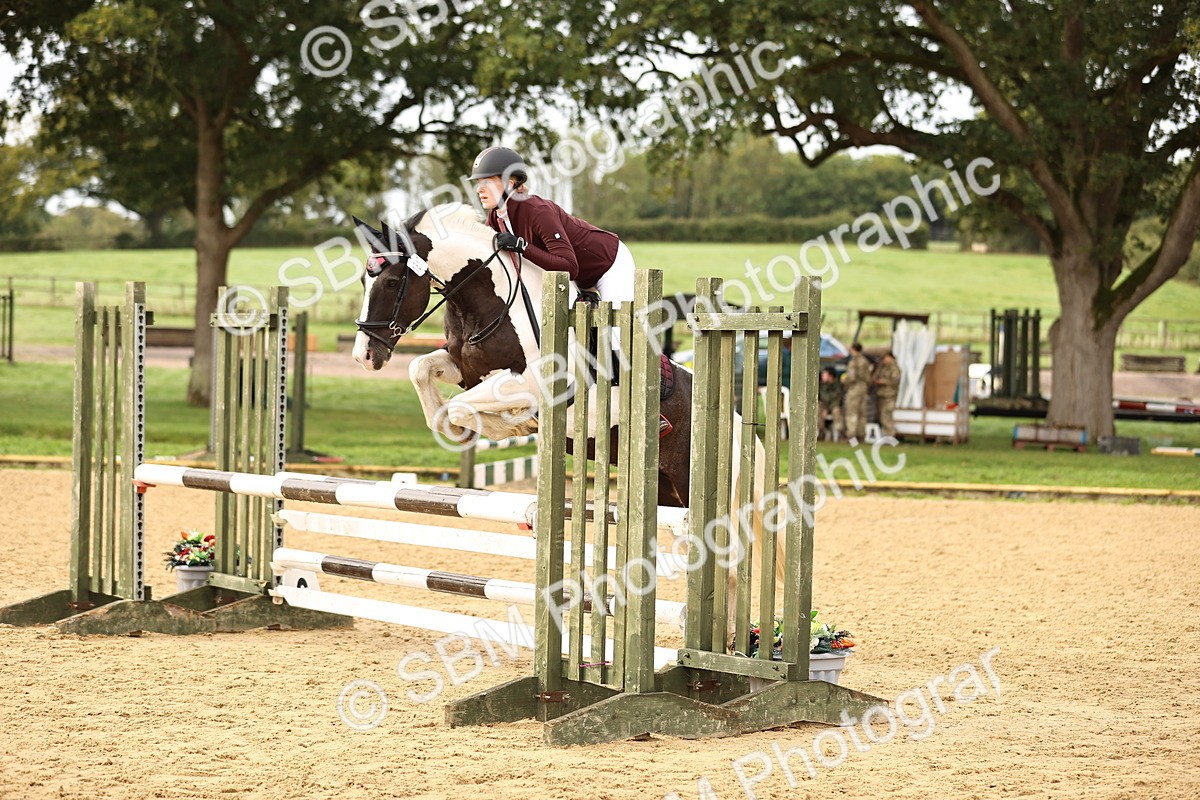 SBM_58214 - J41 - Grand Tour Horse & Pony 95cm