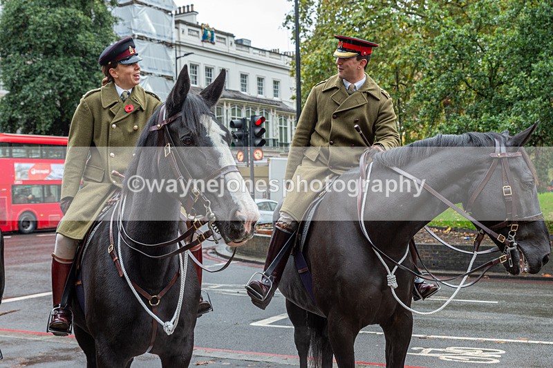 NGP_7082 - Animals In War Memorial - 10-11-23
