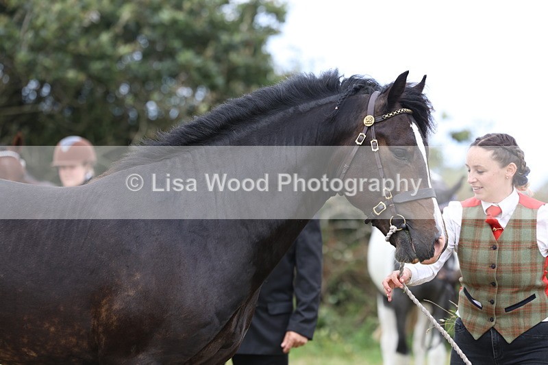 3E7A4226 - Class 15: Two Year Olds