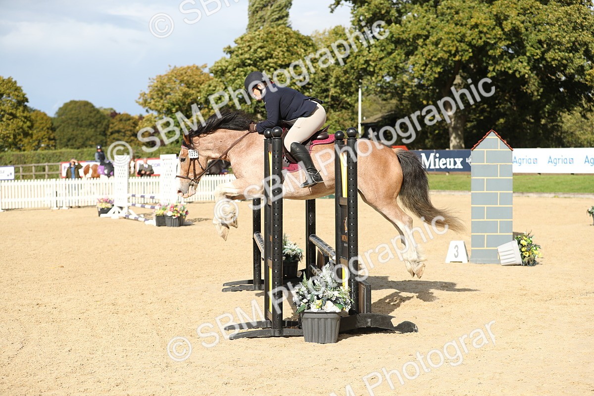 SBM_09932 - J36 - Veteran Rider 70cm
