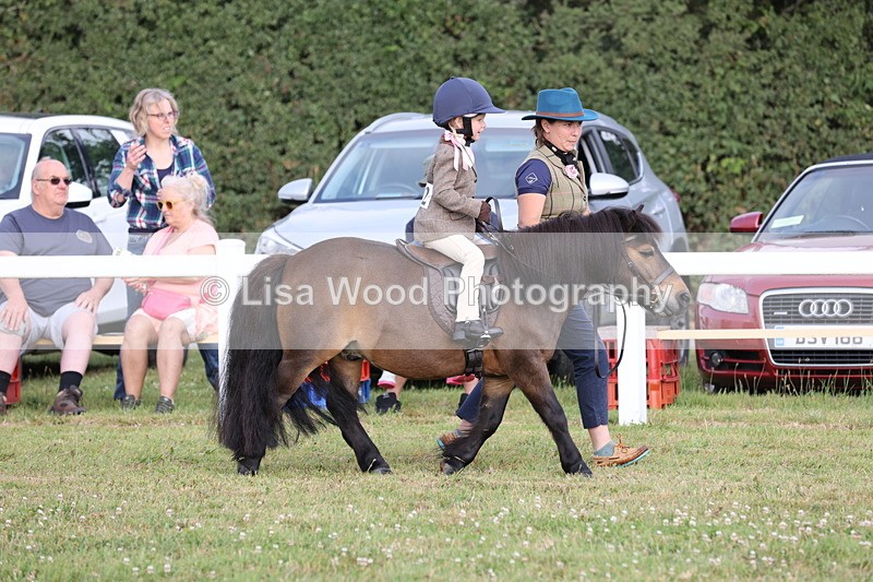 JPP_0233 - Class 14: Cornish Combination Leading Rein