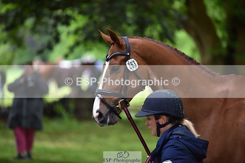 240522-165008-01186 - 263-CHILLI_MORNING_IV-Gemma_Stevens