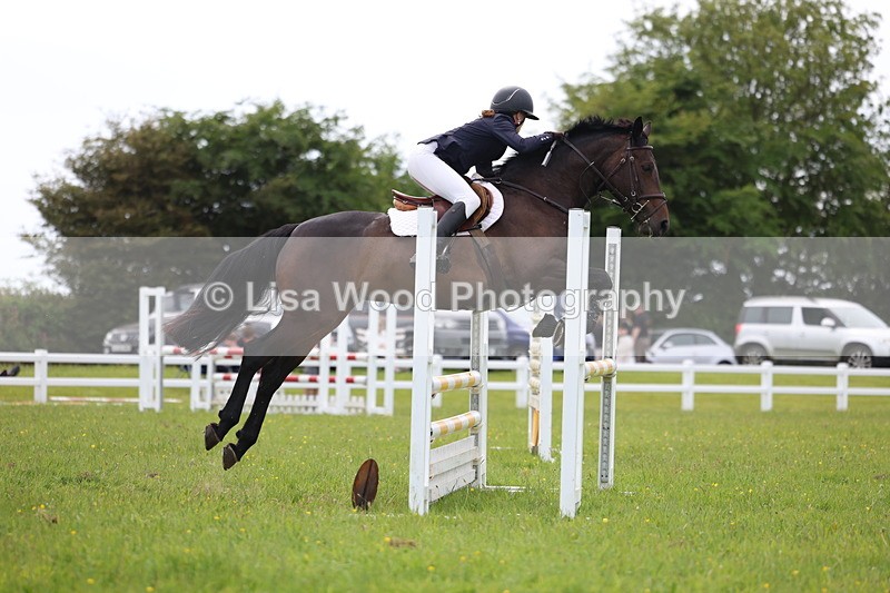 3E7A1803 - Class 13: Senior British Novice/90cm open
