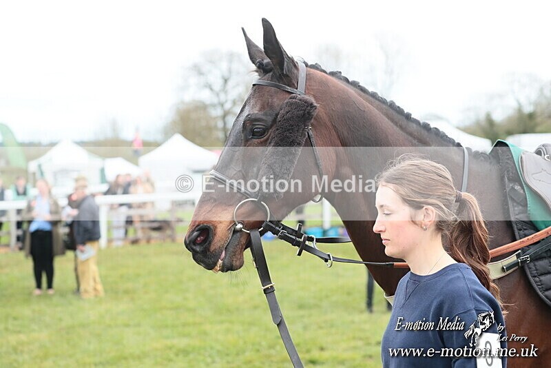 PtP 130425 26 - Edgecote Races 13/04/25