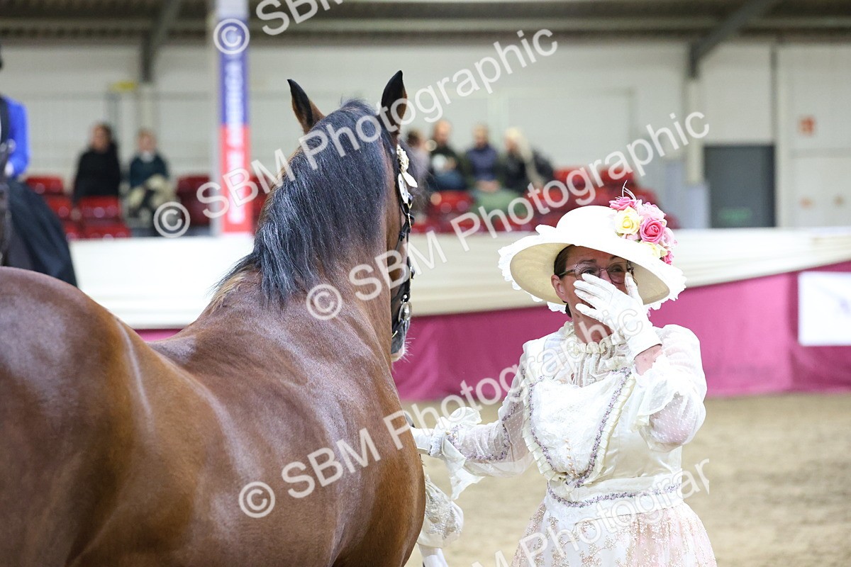 SBM_21488 - Class U - Costume Confour Champ