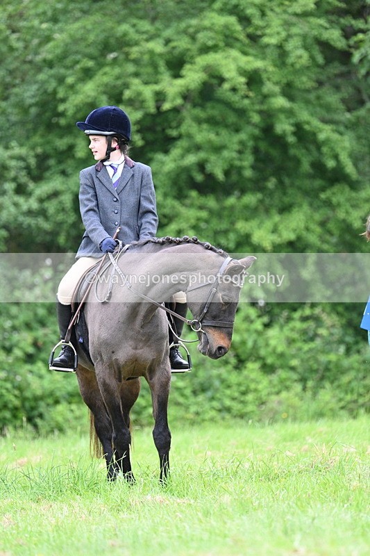 WJ7_4414 - Class 14B Prettiest Mare