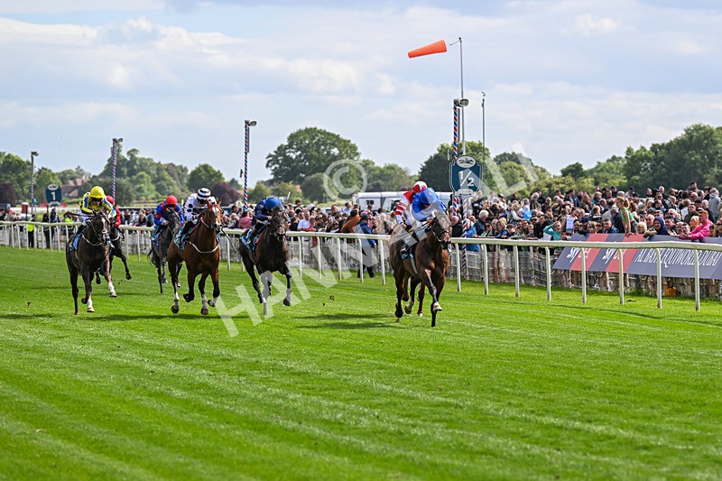 130626-Race 5-Inner City Blues-0559 - Race 5 16.15pm Tomahawk Restaurants Supporting Macmillan EBF Maiden Stakes