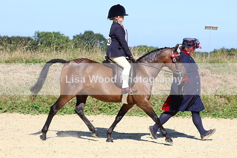 3E7A8023 - Class 15: Lead Rein