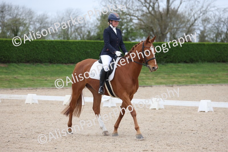 20260404-0123 - Class 2 - Intro 4