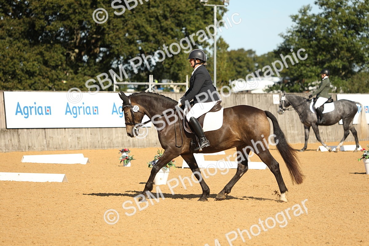 SBM_18620 - D10 - Small Tour Championship - Prelim 2