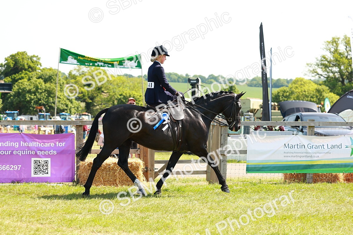 SBM_13478 - Class 70-71 - Side Saddle