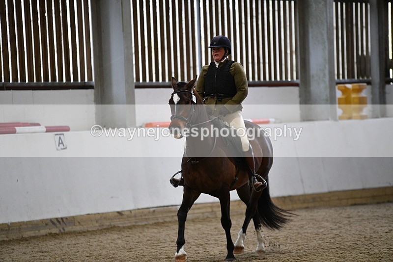 WJ5_7975 - Class 13 Ridden Part Breed