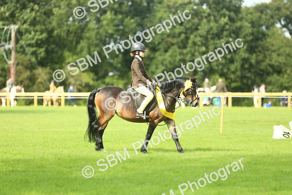 SBM_44882 - Working Hunter Pony Supreme Championship