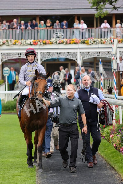 yr20082021r3-31 - Race 3 3.00pm Al Basti Equiworld Dubai Gimcrack Stakes