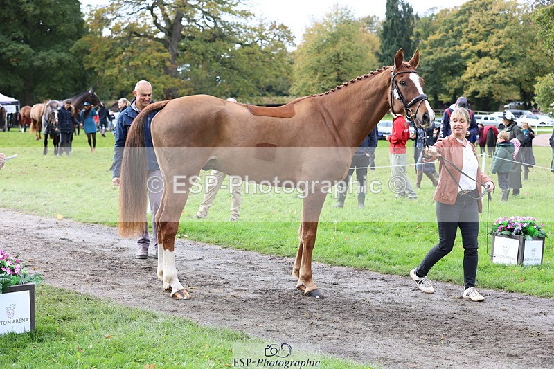 251026A-114256-25638 - G-573-Lisa.Stock