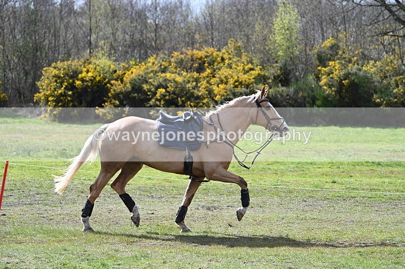 WJ7_2790 - Time 14:58 to 15:19