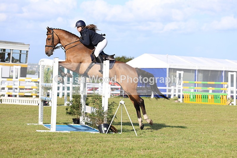 3E7A4341 - Class C: Showjumping Senior Foxhunter