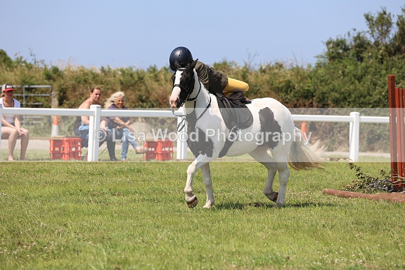 JPP_3102 - Class 22: Working Hunter 70cm