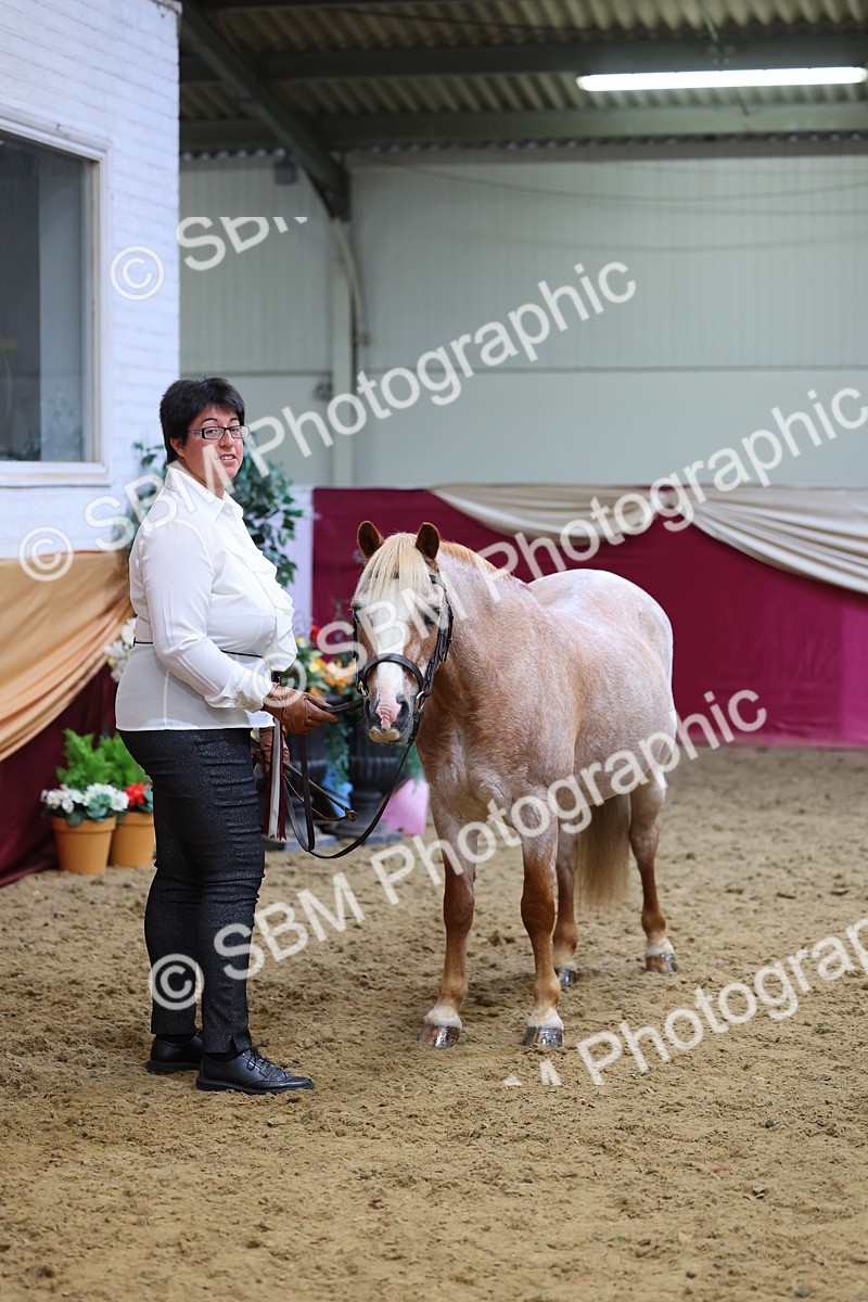 SBM_21109 - Class 902 - Supreme Final IH Veteran