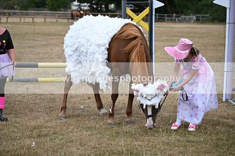 WJ6_8717 - Class 11 Fancy Dress