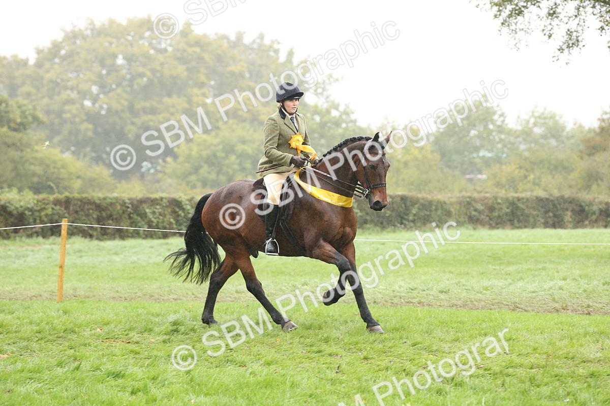 SBM_72912 - Ridden Horse Supreme Championship