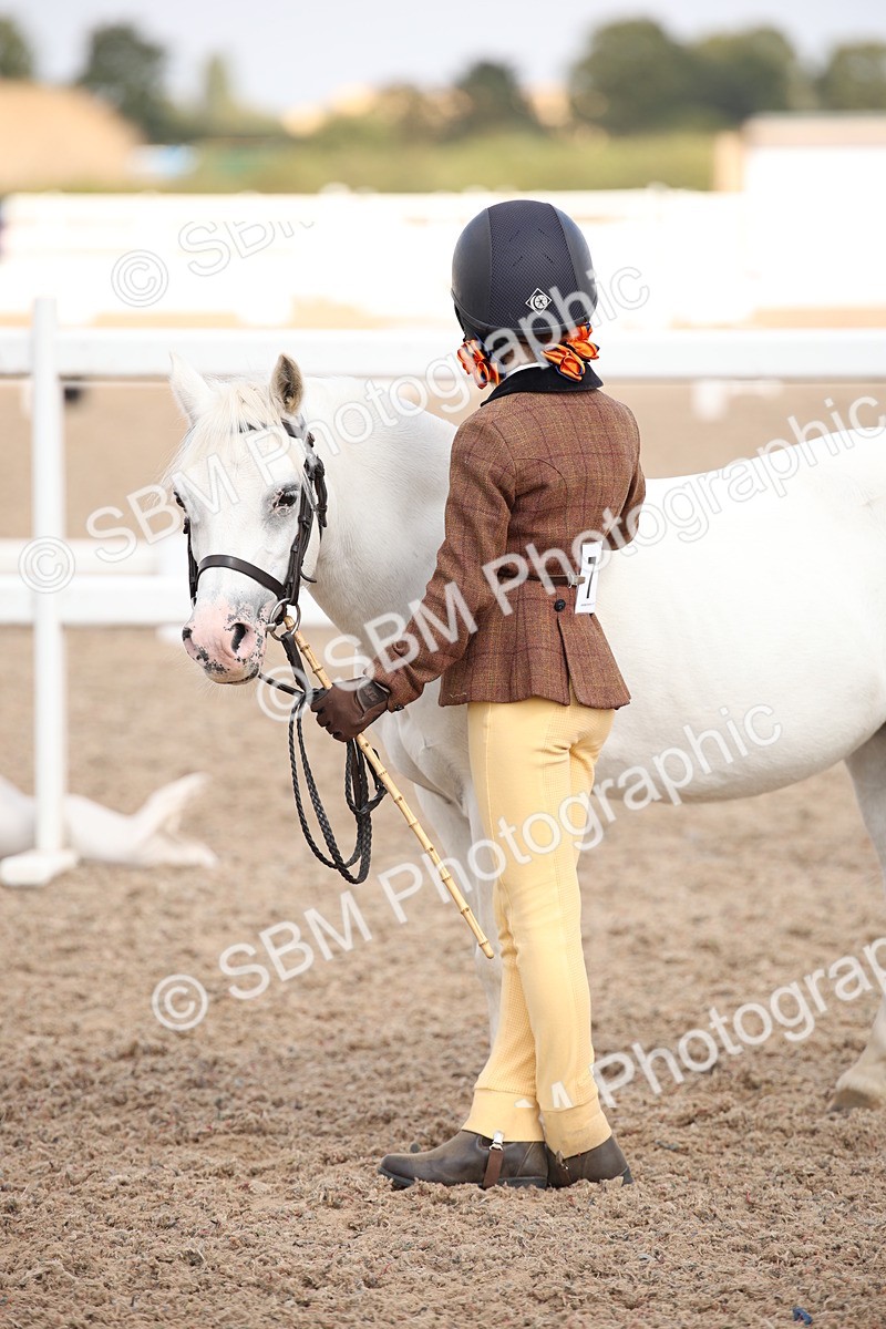 SBM_03754 - Class 19 Judge's Favourite