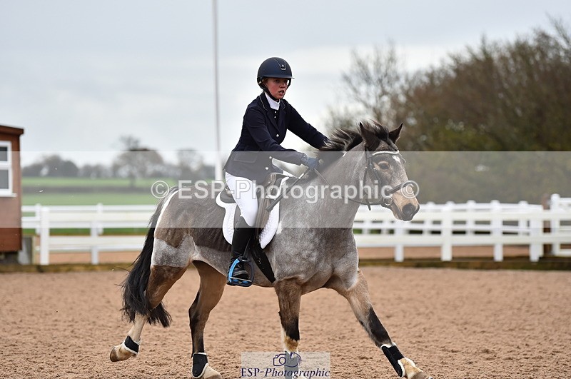 231203A-100008-00248 - Cls 2 British Novice & 80cm Open