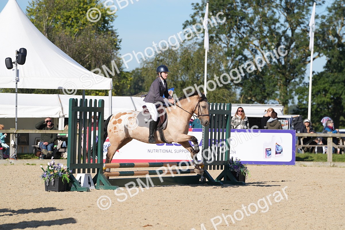 SBM_36101 - J 20 - Junior Horse 50cm Championship