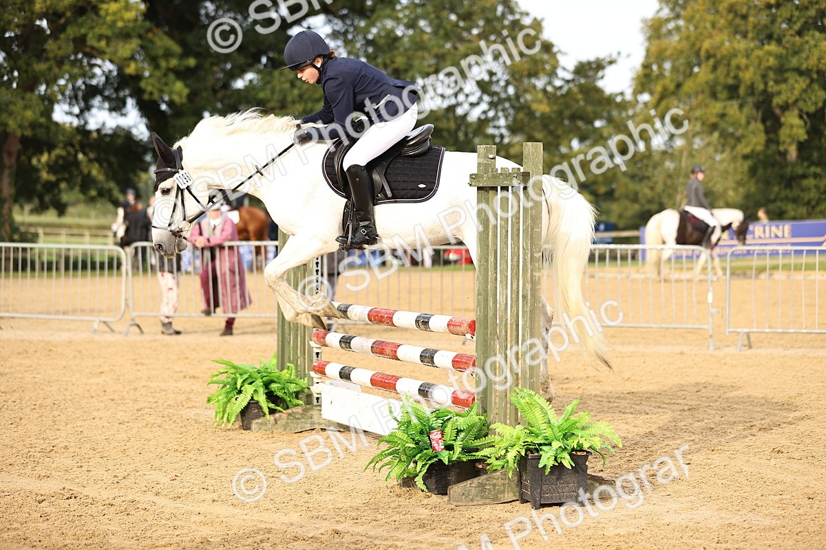 SBM_55264 - J62 - Clear Round 90cm