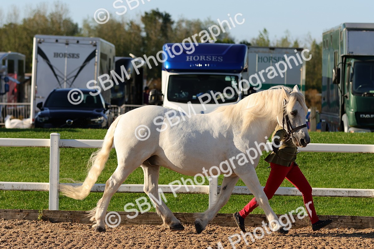 SBM_08001 - Class 201 - Best Turned Out - IH