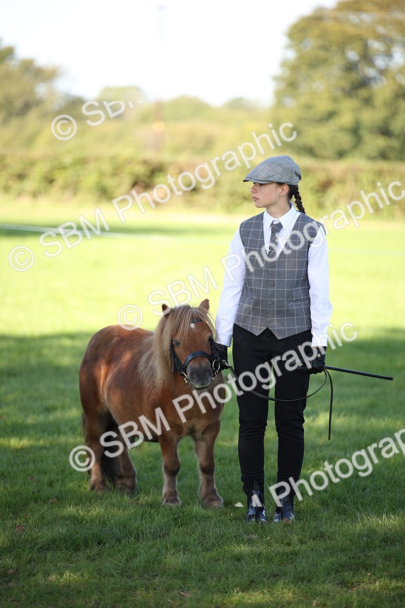 SBM_36656 - S10 - Best In Hand Horse & Pony