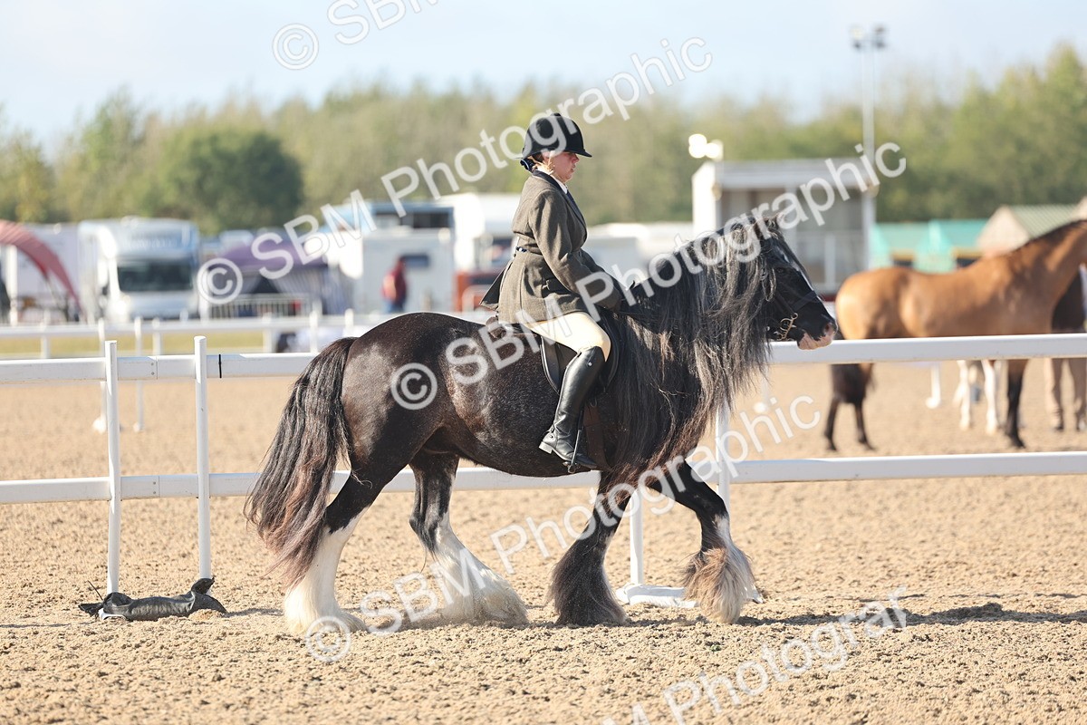 SBM_22191 - Class 802 - Ridden Groom Helpers Class