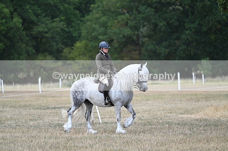 WJ7_4728 - Class 12 Ridden Cob