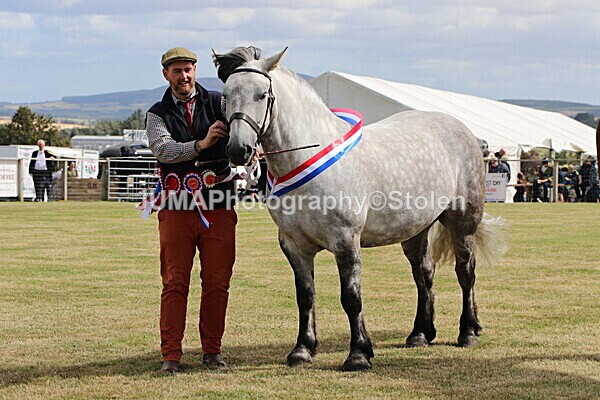 SIAL5286 - overall champion