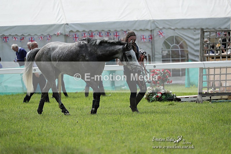 PtP 070523 256 - Kimblewick Races Coronation Meet  Kingston Blount 07/05/23