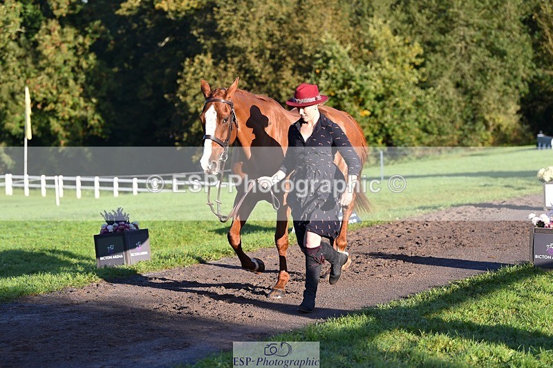 231022-091946-21704 - 663-GROOVY.GUY-Hannah.Watson-TrotUp+SJ