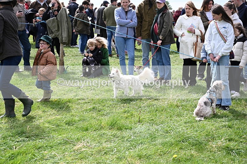 WJ6_8287 - Class 4 Prettiest Bitch