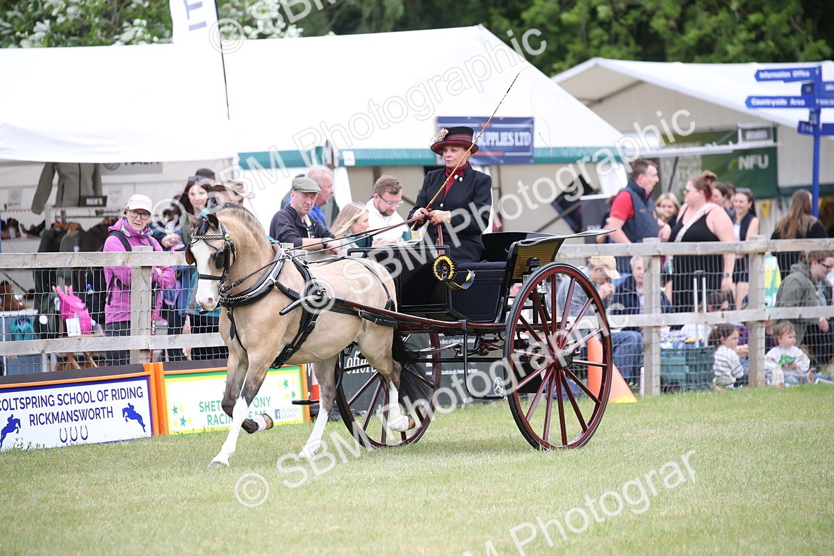 SBM_05935 - Class 12-15 - HOYS Private Driving