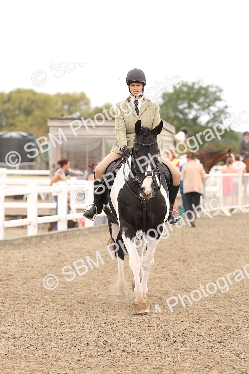 SBM_06721 - Class 58a -  Style & Performance - 70cm (15-19)