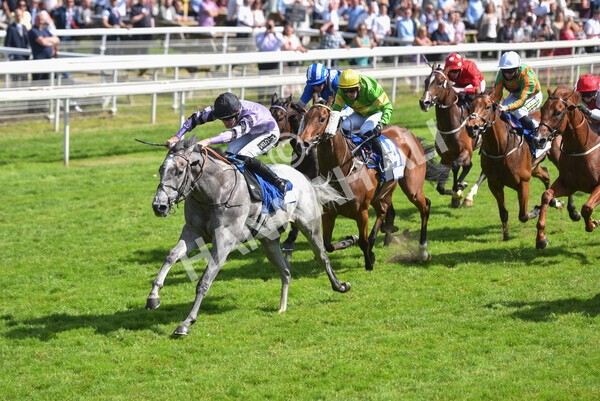 yr12062021r4-21 - Race 4 3.40pm The Pavers Foundation Catherine Memorial Sprint Stakes