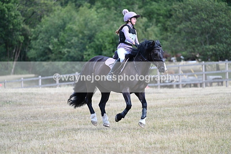 WJ7_0999 - 60cm Time 12:47 to 12:53