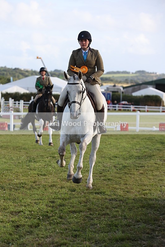 JPP_3593 - Class 22: Working Hunter 90cm